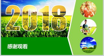 2018互聯網+農副產品市場推廣企業營銷策劃方案